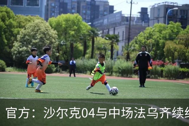 官方：沙尔克04与中场法乌齐续约至2030年夏天，无解约金条款